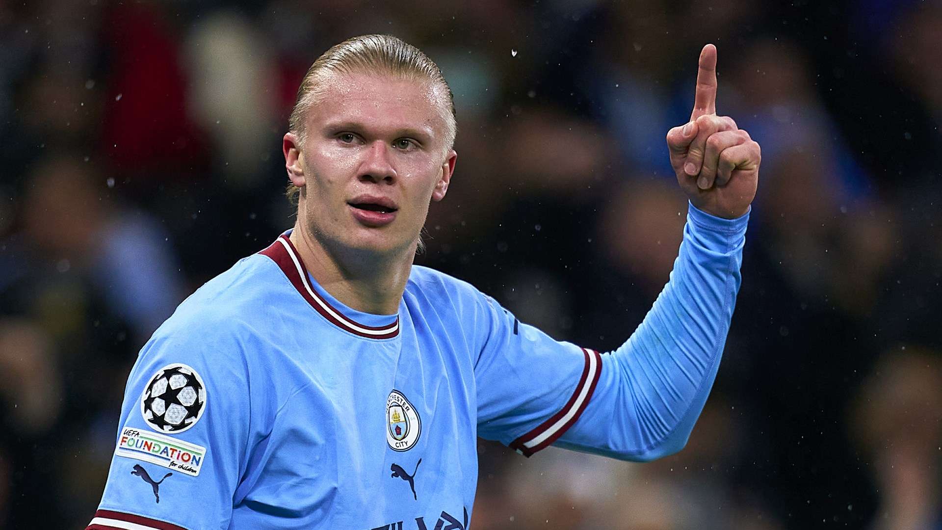 添了多样性 添了多样性