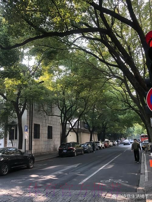 7天6赛仍砍19+5！杨瀚森4犯8失误瑕不遮瑜 美记：看好他的长远未来